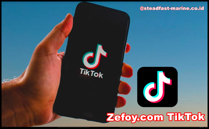 Zefoy.com-TikTok