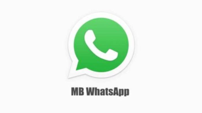 Cara Instal dan Menggunakan MB Whatsapp