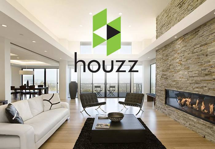 Houzz Interior Design Ideas