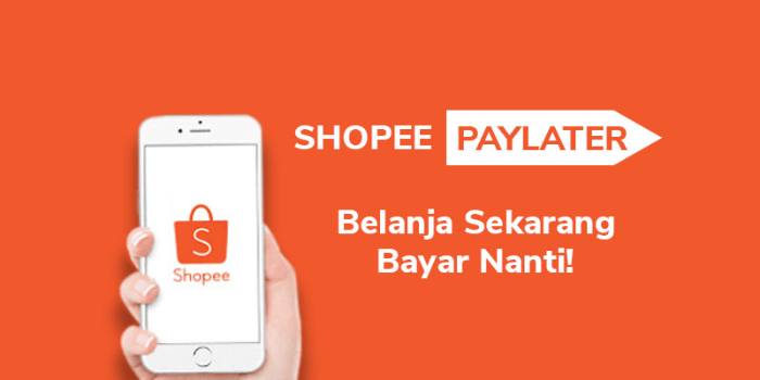 Pinjam Uang di Aplikasi Dana Menggunakan Shopee Pay Later