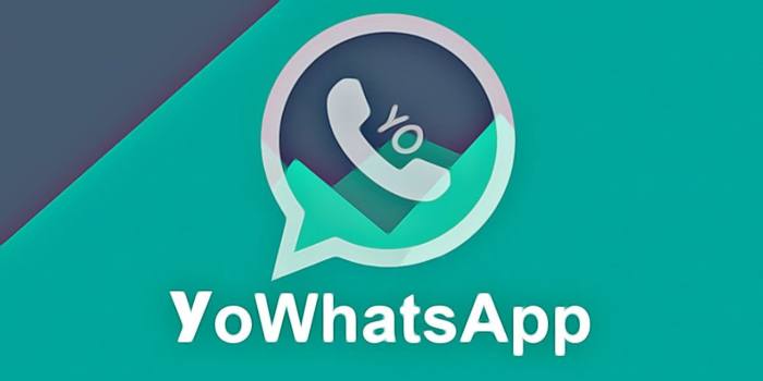 Tentang Aplikasi Yo WhatsApp