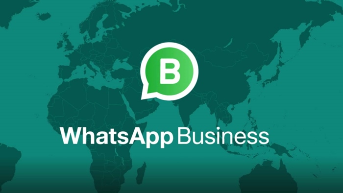 whatsapp business apk
